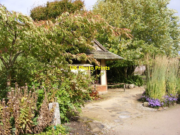 Photo 6"x4" Japanese Garden Llanddarog c2011