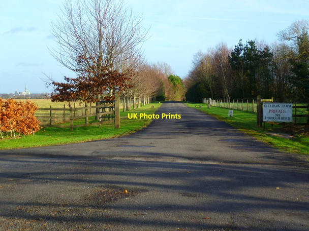 Photo 6"x4" Driveway to Old Park Farm Dell Quay c2012