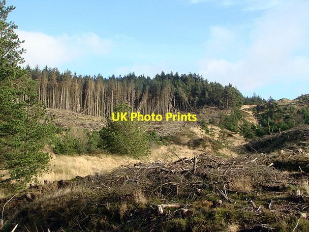 Photo 6"x4" Looking towards Fainc Fawr Bryn Gwyn\/SN7389 c2012