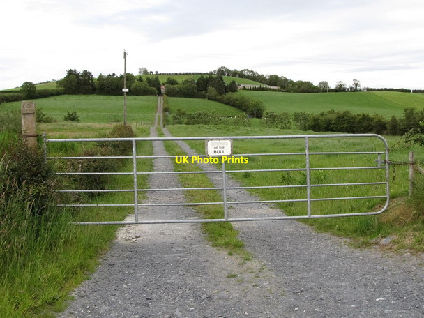 Photo 6"x4" Access road to quarry at Drumlumman Madabawn c2011