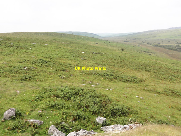 Photo 6"x4" Moorland Hillside to the west of Witheybrook Marsh Sharptor c2011