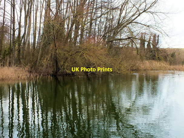 Photo 6"x4" West bank Hanging Langford c2012