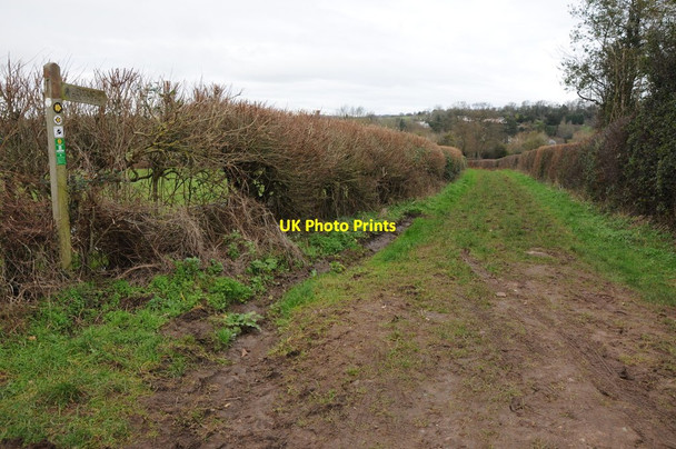 Photo 6"x4" Herefordshire Trail, King's Caple Ruxton c2012