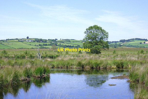 Photo 6"x4" Cors Caron in July, Ceredigion Tregaron c2011