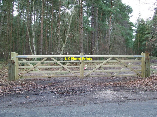 Photo 6"x4" New Gates Flempton c2012