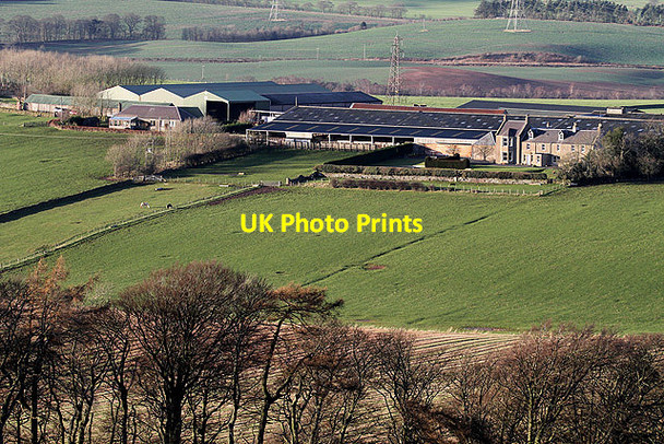 Photo 6"x4" Fans Farm Fans c2012