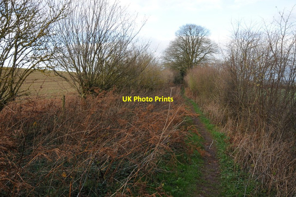 Photo 6"x4" Bridleway at Harewood End Harewood End c2012