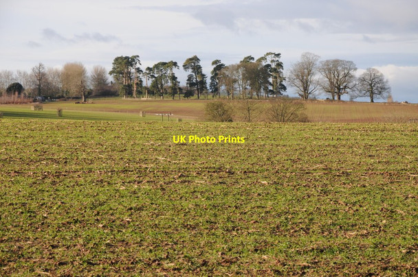 Photo 6"x4" Arable land at Harewood End Harewood End c2012