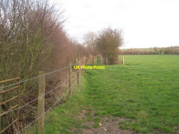 Photo 6"x4" The bridleway to Clayworth Woodhouse Clayworth c2011