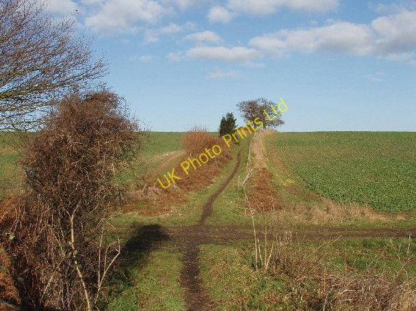 Photo 6"x4" Shire Lane bridleway junction, near Denham West Hyde\/TQ0391 c2006