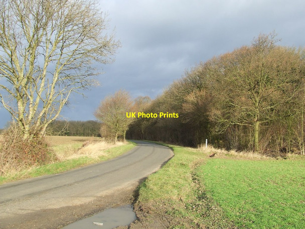 Photo 6"x4" Haws Wood Gulling Green c2012