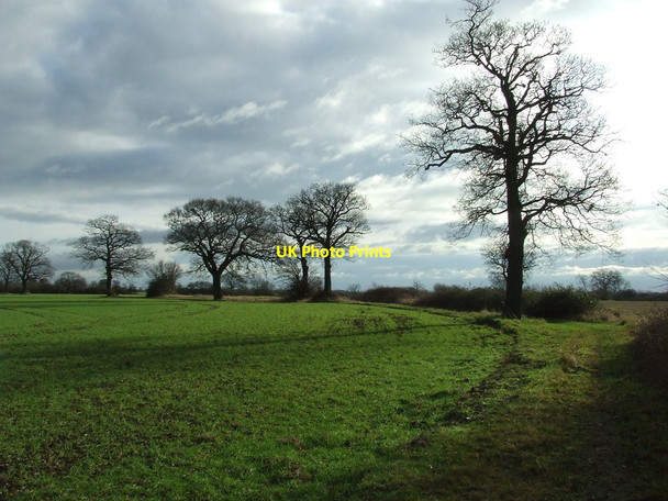 Photo 6"x4" Saddlers Lane Gulling Green c2012