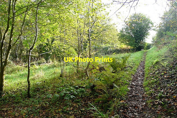 Photo 6"x4" Towards Penberth Cove Penberth\/SW4022 c2011 P1