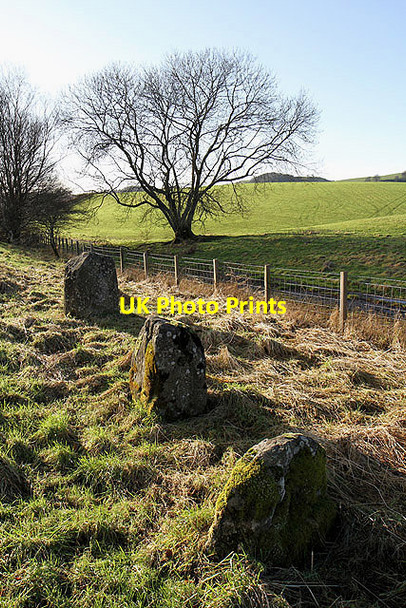 Photo 6"x4" Standing stones by the A701 south of Moffat Moffat c2012