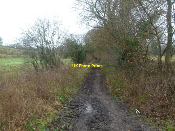 Photo 6"x4" Corfe Mullen, bridleway Corfe Mullen c2012