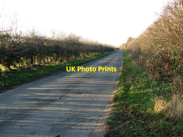Photo 6"x4" Country lane to Narford Swaffham c2012