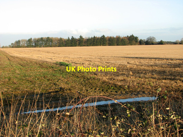 Photo 6"x4" Unnamed woodland west of Swaffham Swaffham c2012