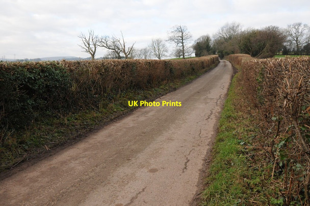 Photo 6"x4" Country road near Llanddewi Rhydderch Croes-Hywel c2012