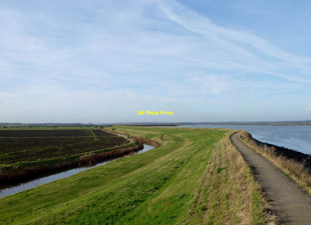 Photo 6"x4" Path on the Wall North Fambridge c2012