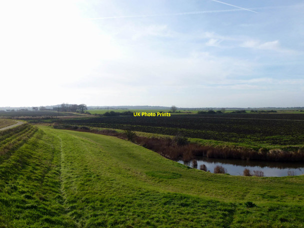 Photo 6"x4" Beckney Farmland North Fambridge c2012