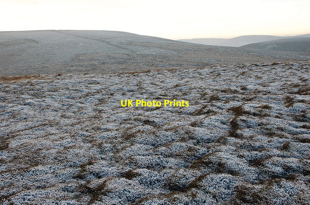 Photo 6"x4" Frosted heather, Hundleshope Heights Hundleshope c2012