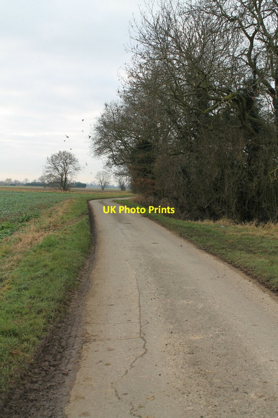 Photo 6"x4" Wykes Road Church End\/TF2234 c2012