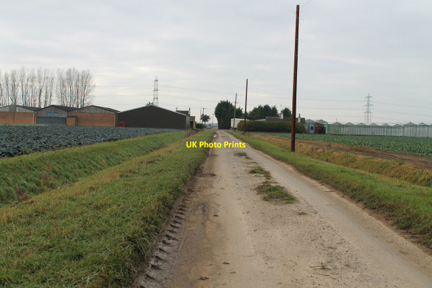 Photo 6"x4" Ten Acre Drove towards New Farm Burtoft c2012