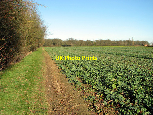 Photo 6"x4" Footpath along Bentries Belt, Easton Easton\/TM2858 c2012