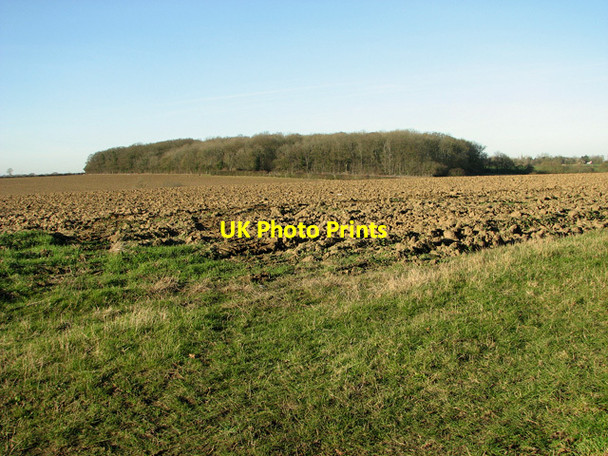 Photo 6"x4" Sessions Wood, Easton Easton\/TM2858 c2012