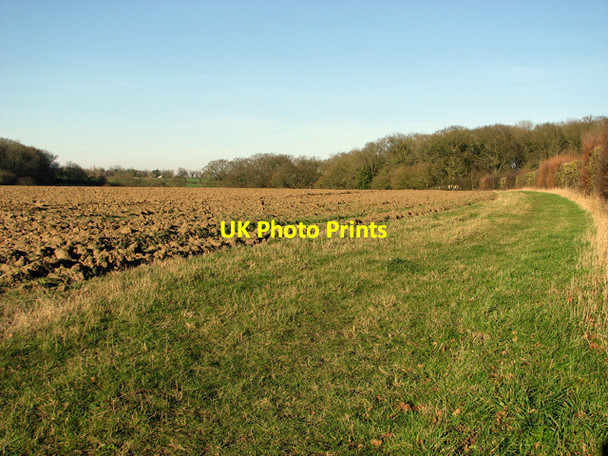 Photo 6"x4" Footpath to Sessions Wood, Easton Easton\/TM2858 c2012