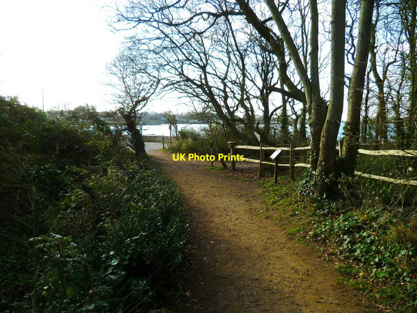 Photo 6"x4" Path in Salterns Wood approaches Chichester Channel Birdham c2012