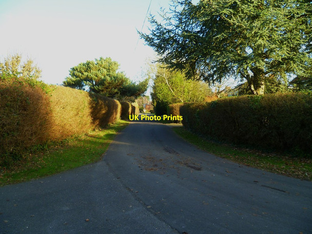 Photo 6"x4" Greenacres in Westlands Birdham c2012
