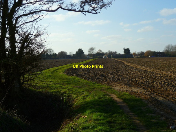 Photo 6"x4" Footpath to Oldhouse Farm Shipton Green c2012