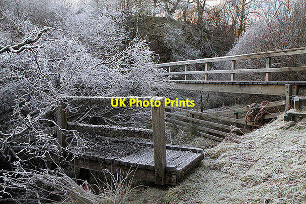 Photo 6"x4" A footbridge at Hawkshaw Cleuch Dryhope c2012
