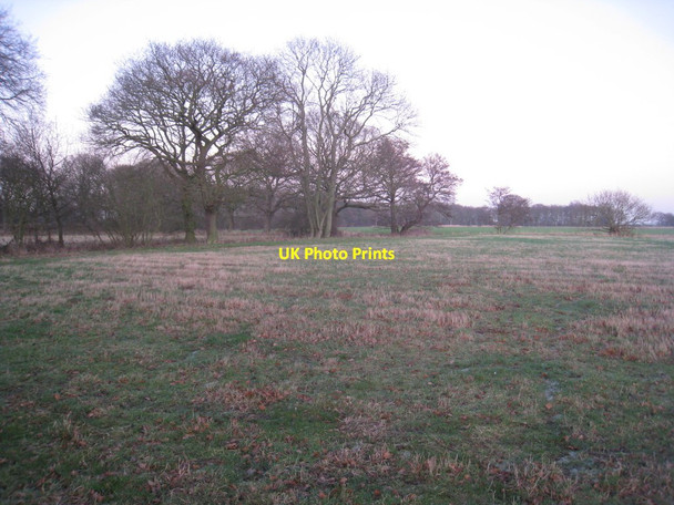 Photo 6"x4" Wooded carr land Eskholme\/SE6317 c2012