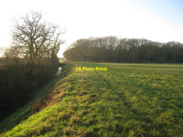 Photo 6"x4" Blackshaw Dike and Tideworth Hague Gorse Fosterhouses c2012