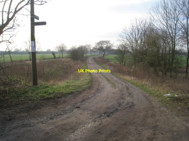 Photo 6"x4" Wood Lane Hangsman Hill c2012