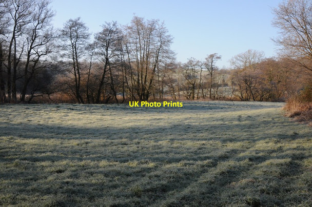 Photo 6"x4" Trees on the bank of the Trothy Onen c2012