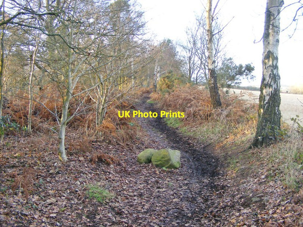 Photo 6"x4" Way View Seisdon c2012