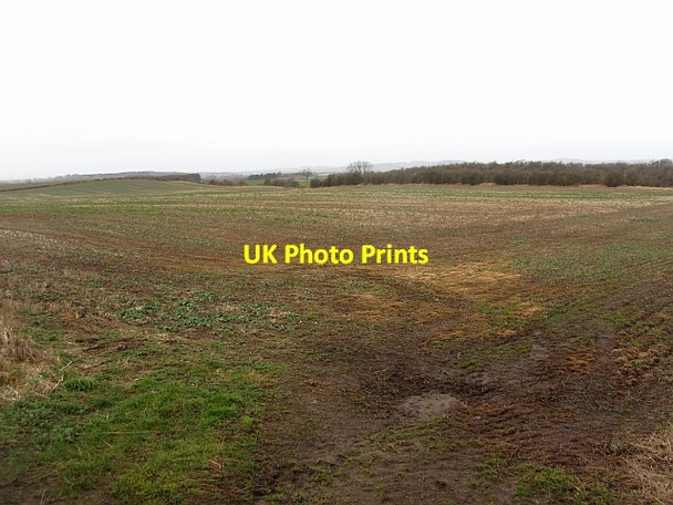 Photo 6"x4" Oilseed rape field, Kerchesters Kerchesters c2012