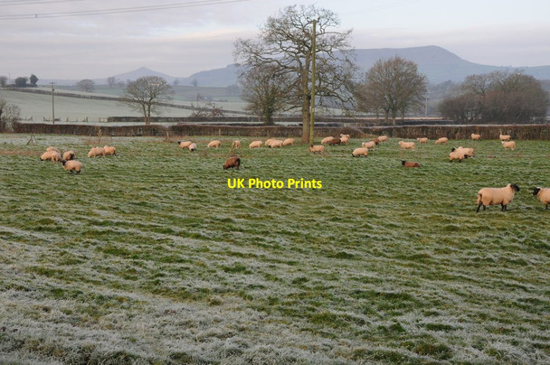 Photo 6"x4" View to Sugar Loaf and Skirrid Llantilio Crossenny c2012