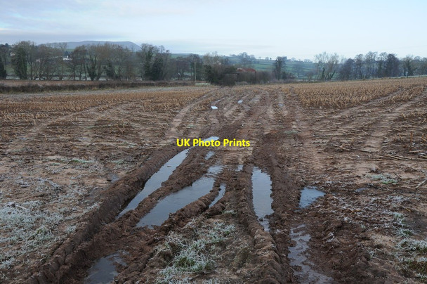 Photo 6"x4" Frozen arable land, Llanvapley Llanvapley c2012