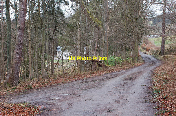 Photo 6"x4" Track junction, Glenormiston Estate Innerleithen c2012