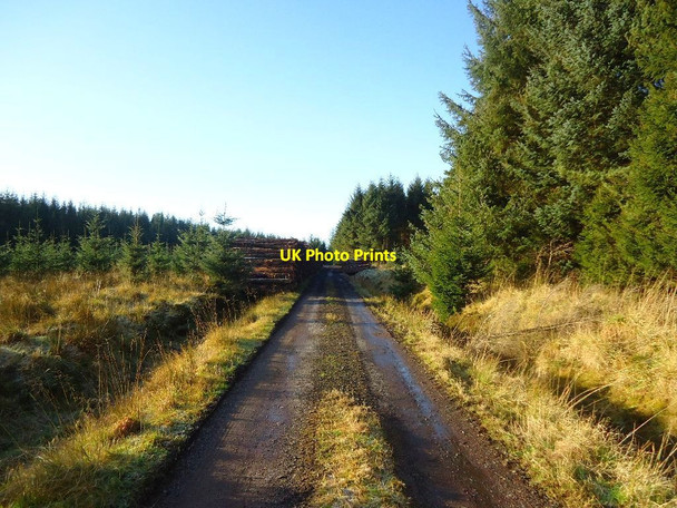 Photo 6"x4" Loanfoot Plantation [7] Greenhill\/NS8278 c2012