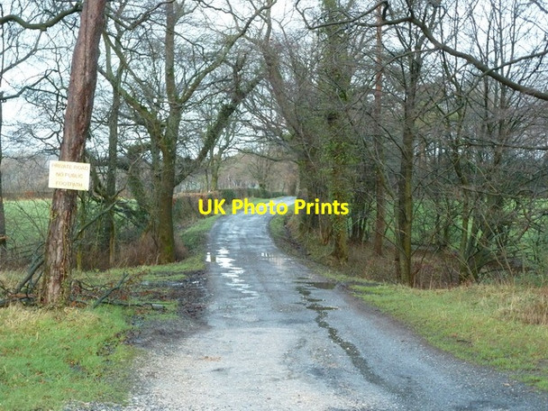 Photo 6"x4" Road to Plantation Farm Walker Fold\/SD6741 c2012