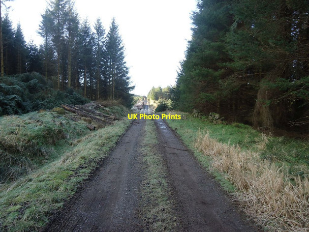 Photo 6"x4" Loanfoot Plantation [9] Greenhill\/NS8278 c2012