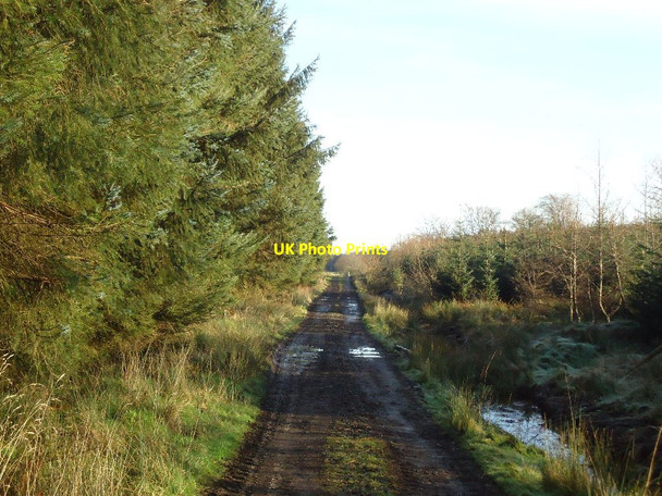 Photo 6"x4" Loanfoot Plantation [12] Greenbank\/NS8679 c2012