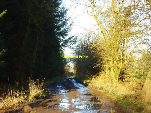 Photo 6"x4" Loanfoot Plantation [14] Greenbank\/NS8679 c2012