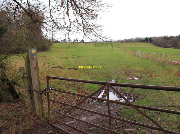Photo 6"x4" Footpath by Thornhill Wood Weethley c2012