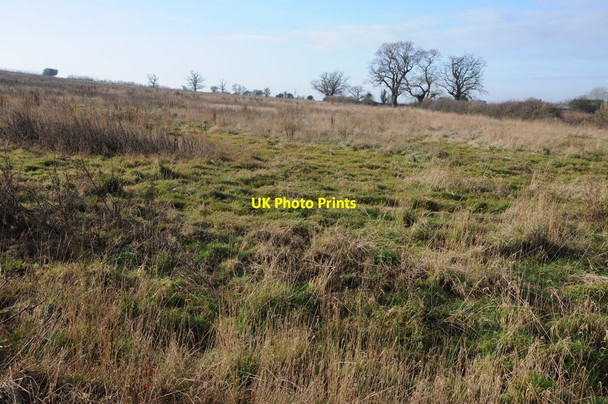 Photo 6"x4" Rough grassland at Fernhill Heath Hindlip c2012